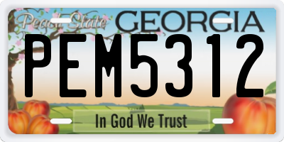 GA license plate PEM5312