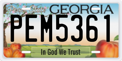 GA license plate PEM5361