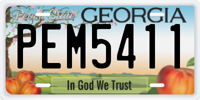 GA license plate PEM5411