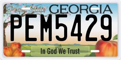 GA license plate PEM5429