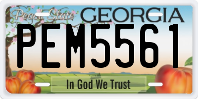 GA license plate PEM5561
