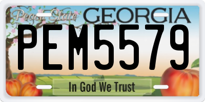 GA license plate PEM5579