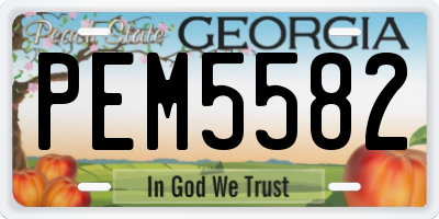 GA license plate PEM5582