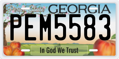 GA license plate PEM5583