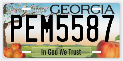 GA license plate PEM5587