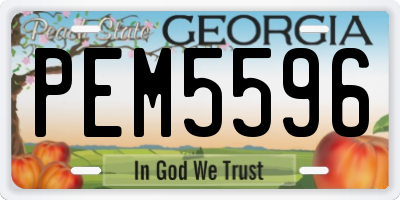GA license plate PEM5596