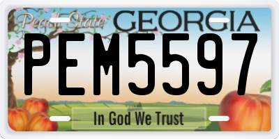 GA license plate PEM5597