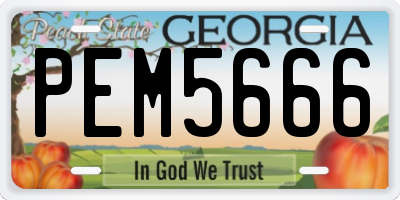 GA license plate PEM5666