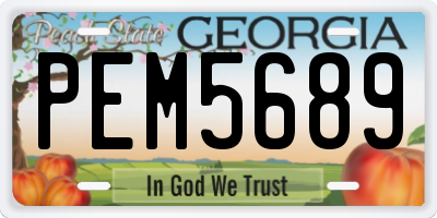 GA license plate PEM5689