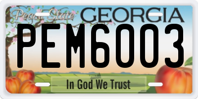 GA license plate PEM6003