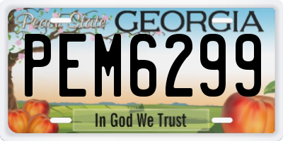 GA license plate PEM6299