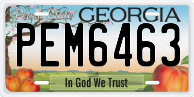 GA license plate PEM6463