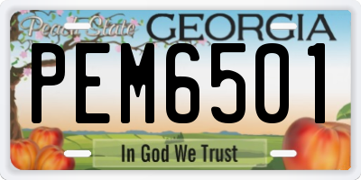 GA license plate PEM6501