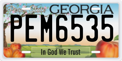 GA license plate PEM6535