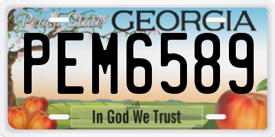 GA license plate PEM6589