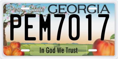 GA license plate PEM7017