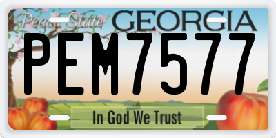 GA license plate PEM7577