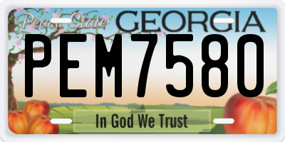 GA license plate PEM7580