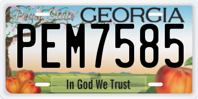 GA license plate PEM7585
