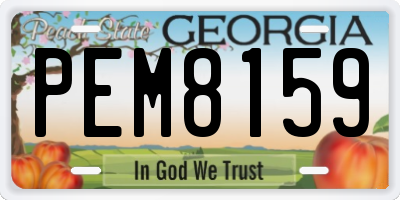GA license plate PEM8159
