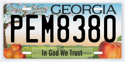 GA license plate PEM8380