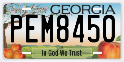 GA license plate PEM8450