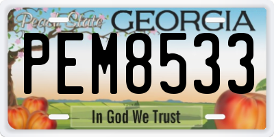 GA license plate PEM8533