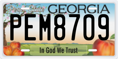 GA license plate PEM8709