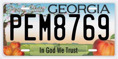GA license plate PEM8769