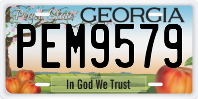 GA license plate PEM9579