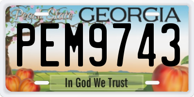 GA license plate PEM9743