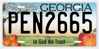 GA license plate PEN2665