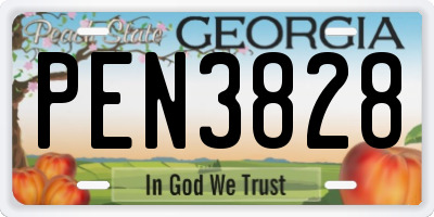 GA license plate PEN3828