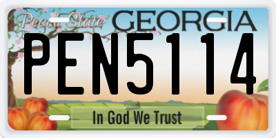 GA license plate PEN5114