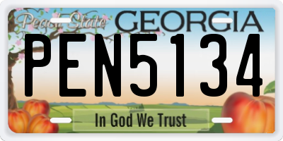 GA license plate PEN5134