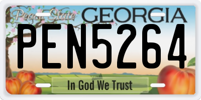 GA license plate PEN5264
