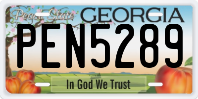 GA license plate PEN5289