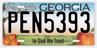 GA license plate PEN5393