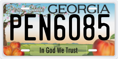 GA license plate PEN6085