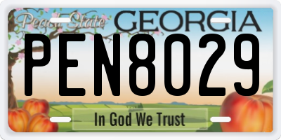 GA license plate PEN8029
