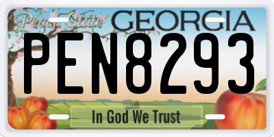 GA license plate PEN8293