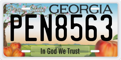 GA license plate PEN8563