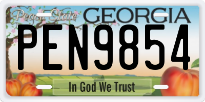 GA license plate PEN9854
