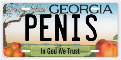 GA license plate PENIS