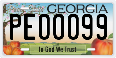 GA license plate PEO0099