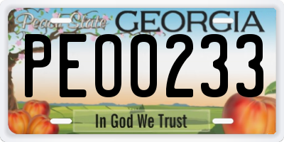 GA license plate PEO0233