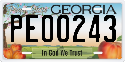 GA license plate PEO0243
