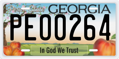 GA license plate PEO0264