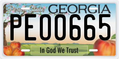 GA license plate PEO0665
