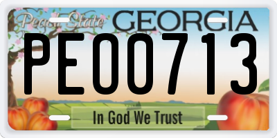 GA license plate PEO0713